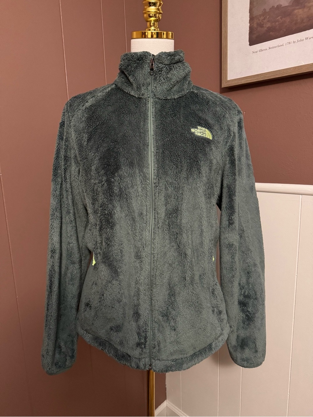 The North Face Women’s Osito Jacket